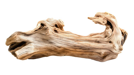Dried dead tree trunk. Weathered driftwood cut out