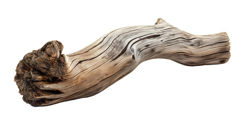 Dried dead tree trunk. Weathered driftwood cut out