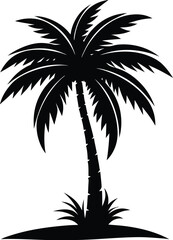 Obraz premium Collection of a black palm trees shapes, silhouettes of an exotic plants. Vector illustration isolated on white background