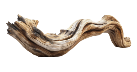 Dried dead tree trunk. Weathered driftwood cut out