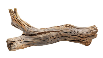 Dried dead tree trunk. Weathered driftwood cut out