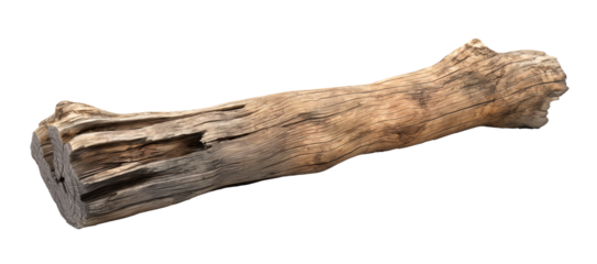 Dried dead tree trunk. Weathered driftwood cut out