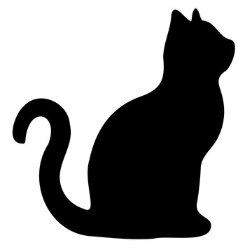 cat  vecter  illustration for halloween