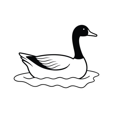 recommend clip art: Canada goose swimming pond line art vector illustration