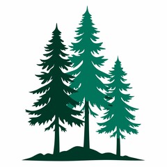pine trees vector illustration