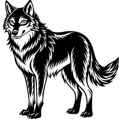 Fototapeta premium wolf isolated on white