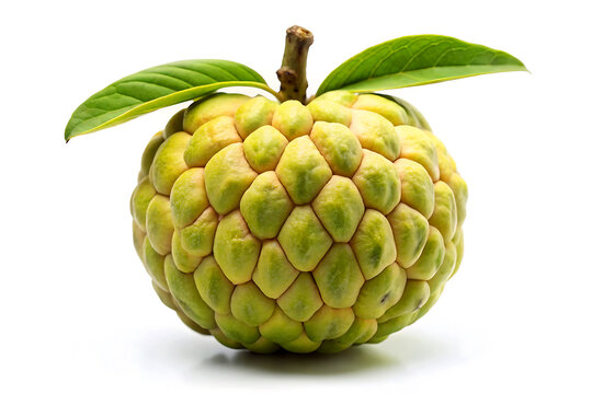 Sugar apple fruit isolated on white background.