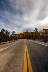 Fototapeta premium A stunning view of a winding road in Zion National Park, Utah. Majestic red rock formations and dramatic skies create a breathtaking backdrop for nature lovers and adventure seekers.