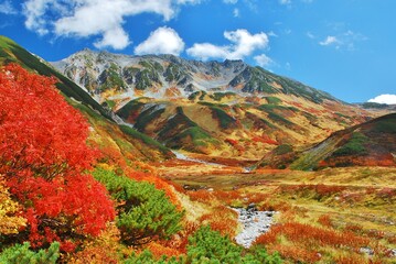 紅葉の立山連峰ハイキング　