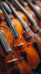 Fototapeta premium Row of Violins.