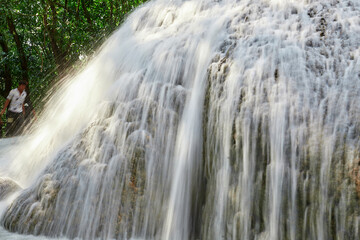 Obraz premium Waterfall in the forest