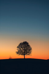 Obraz premium Solitary Serenity: A Reflection of Nature’s Calm During Twilight