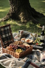Picnic basket near tree