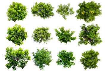 Obraz premium series of silhouettes of green bushes, figures on a white background.