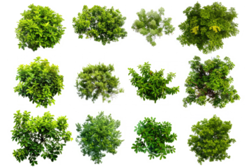 series of silhouettes of green bushes, figures on a white background.