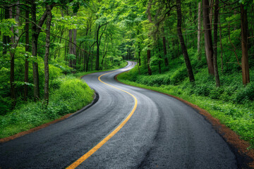 Fototapeta premium Winding Road Through a Lush Green Forest