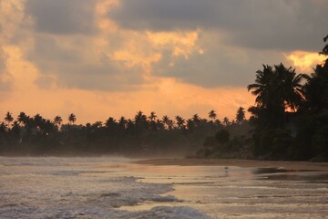 Empty tropical beach with ocean and palms at sunset