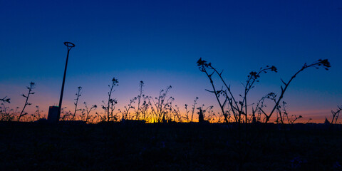 Beautiful sunrise scenery with meadow silhouettes against the sky. NAtural morning in rural Latvia.