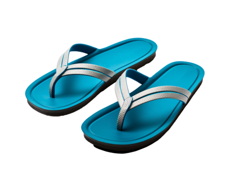 a pair of blue sandals