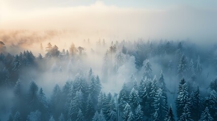 Fototapeta premium Landscape of a snow-covered forest image