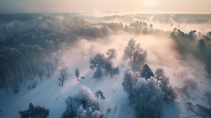 Fototapeta premium Landscape of a snow-covered forest picture