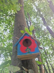 A cute little birdhouse in the woods
