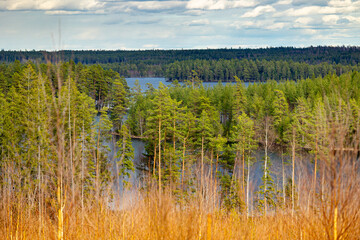 A beautiful sunny day at the shore of lake in Sweden forest. Natural springtime scenery of Scandinavia.