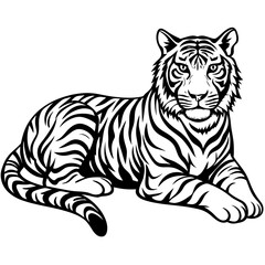 Fototapeta premium tiger illustration