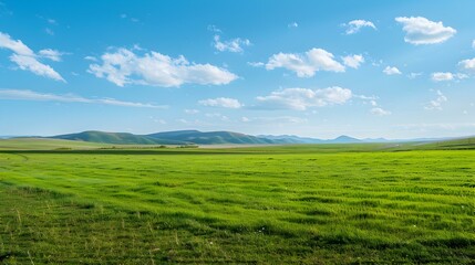 Fototapeta premium Landscape with endless meadows and distant mountains picture