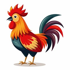 rooster isolated on white background