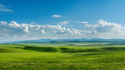 Obraz premium Landscape with vast steppes and distant mountains img