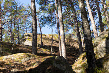 Beautiful huge boulders in the Tividen National Park in Sweden. Natural springtime scenery of forest in Scandinavia.