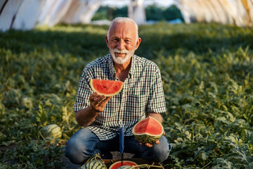 Happy senior farmer crouching in greenhouse and holding fresh ripe slices of watermelon. - Powered by Adobe