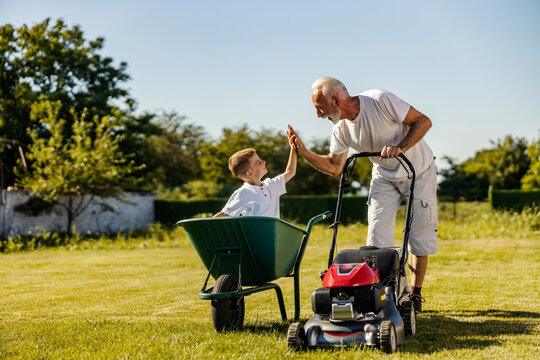 Grandfather with grass mower in backyard giving high five to his grandson in wheelbarrow.