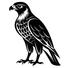 Obraz premium eagle isolated on white background