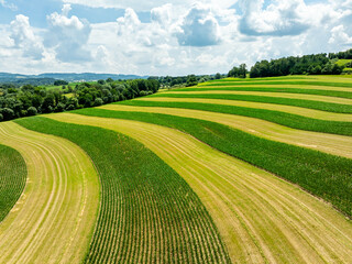 Countour farming with cereal and corn stripes