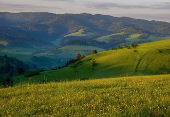 Obraz premium Spring trekking path in Wysoki Wierch at Pieniny mountains, Polish Slovak border in sunny spring day.