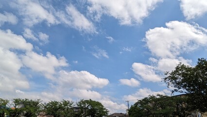 木と空