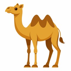 camel in the desert