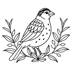 little realistic sparrow bird vector illustration.