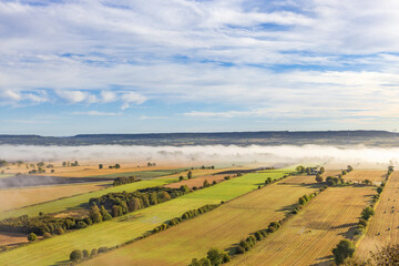Naklejka premium Tree lined fields with fog in a beautiful landscape view