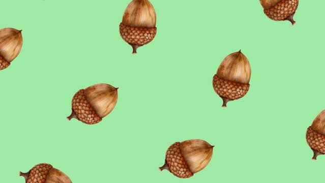 Pattern of rotating acorns on a light green background, ideal for autumn and Thanksgiving themes