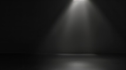 Black and White Ray Light Room