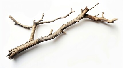 Dry tree twig and branch with knots isolated white background Dry brushwood stick tree pieces of broken wood plank : Generative AI
