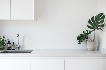Fototapeta premium Modern Kitchen Sink With White Cabinets and Monstera Plant