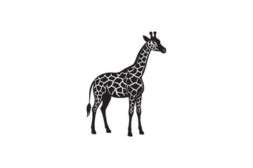 giraffe isolated on white background