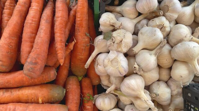 Brightly coloured carrots and garlic in box. Food and fruit. Harvest and the market. Healthy eating. 