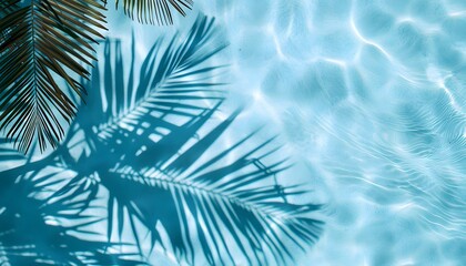 Palm leaves shadow on water surface in pool
