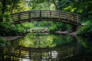 Fototapeta premium A wooden bridge spans over a calm stream through green landscape under clear sky, A wooden bridge crossing over a tranquil stream