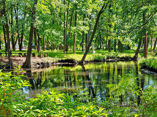 A shady old city park with tall trees and small clean ponds. Clean environment concept